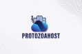 protozoahost hosting coupon codes
